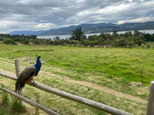 Rancho New Life Guatavita