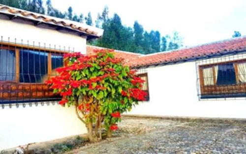 Hotel Maxiruma - Villa Tamauka