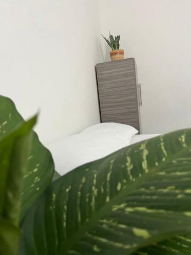 Apartamento Villa Amore Town