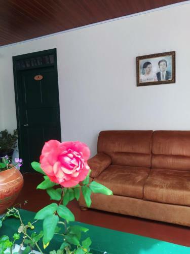 Hostal Villa Alioc
