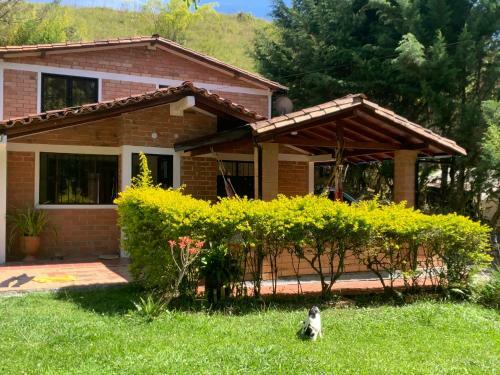 Villa Alejandra