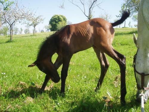 Hostal Ch�teau De Saint Loup