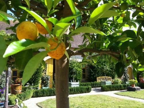 Hostal Ch�teau De Saint Loup