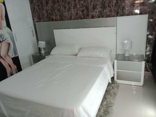 Lujoso Apartamento