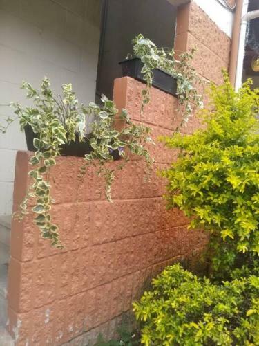 Hermoso Apartamento Para Estrenar