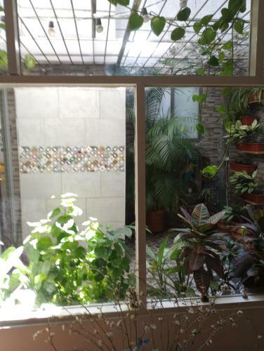 Nora's Homestay Laureles