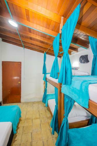 Spring Hostel