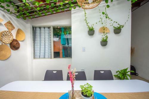 Spring Hostel