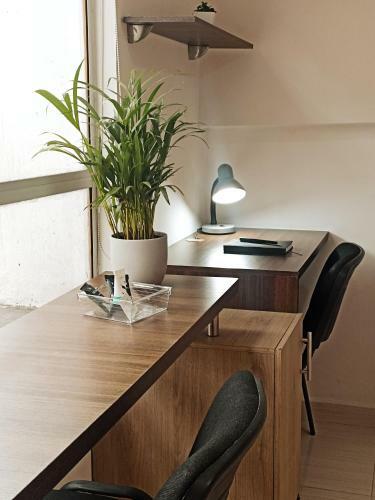 Apartamento Laureles Guest House