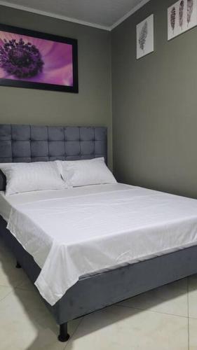 Apartamento Look Medellin Laureles 402