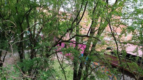 Apartamento Beautiful Loft Laureles