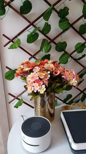 Apartamento Beautiful Loft Laureles