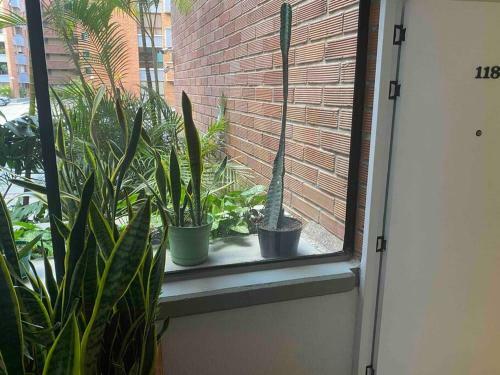 Apartamento Bosques 8 Pax