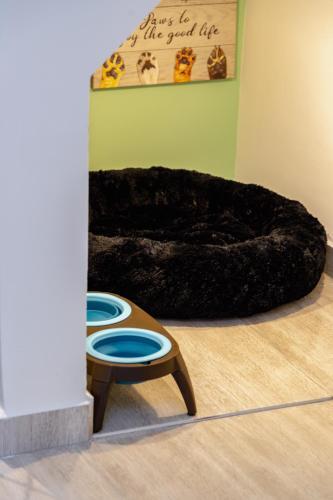Apartamento Sam�n, Ac, Pet Friendly, 7 Personas