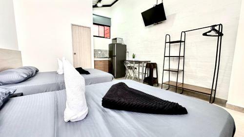 Apartamento Sinu Loft