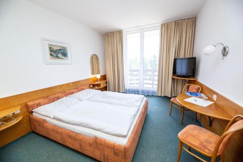 Hotel Ski