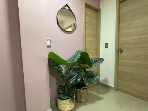 Apartamentos Arkadia
