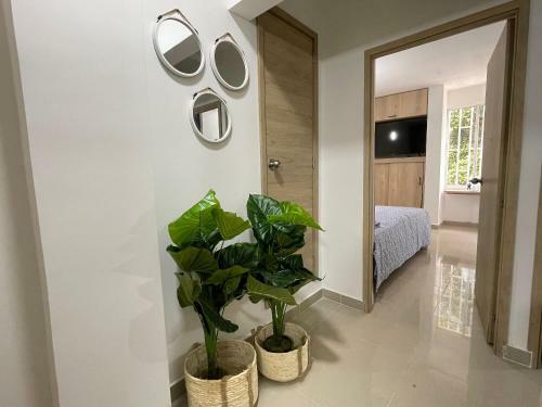 Apartamentos Arkadia
