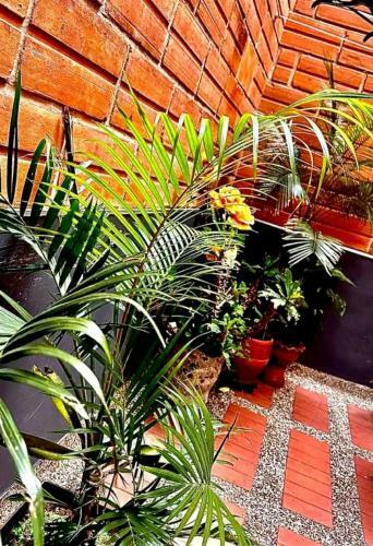 Casa Hotel Laureles