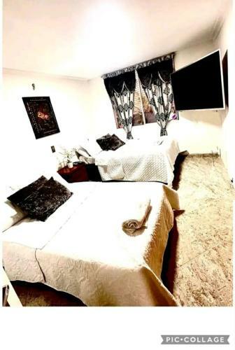 Casa Hotel Laureles