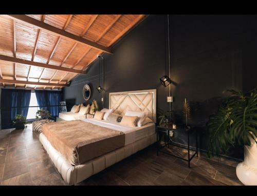 Provenza Luxury Apartments Terraza