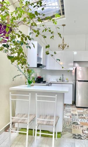 Apartamento Casa Luz Boutique, Live Local!