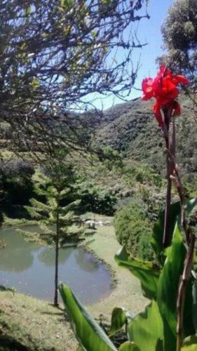 Finca Campestre En Guarne