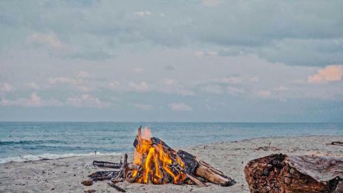 Hotel Lote 10 Glamping
