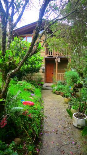 Beehouse Arv� Caba�a