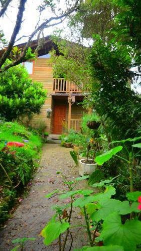 Beehouse Arv� Caba�a