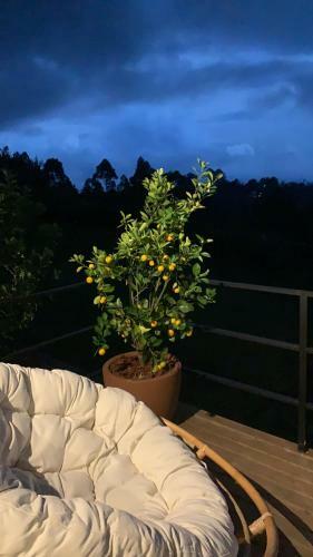 Hotel Cumbres Luxury Glamping