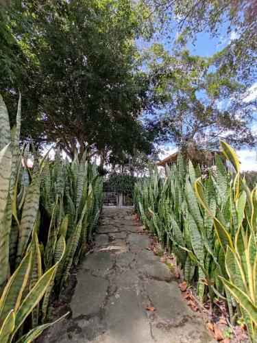 Agroturismo Hotel Centro Recreacional Valle Deeli