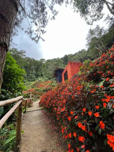 Finca Montmagica