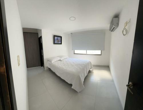 Casa Tolo