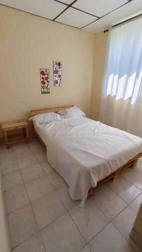 Cocoasis Casa Hostal