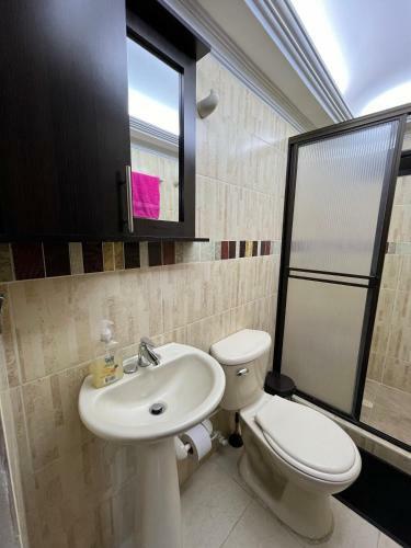 Renovado Apartamento Central