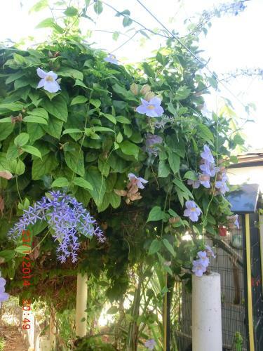 Hostal Chambres D�hotes La Romana