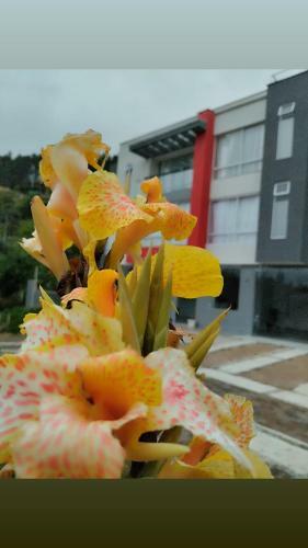 Apartamento Refugio Flores De Mar�a
