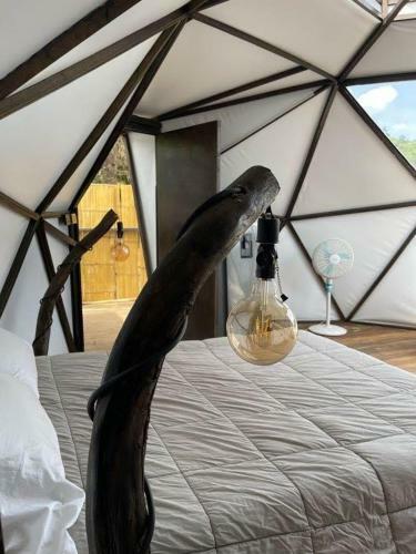 Glamping Ecoglam Medell�n