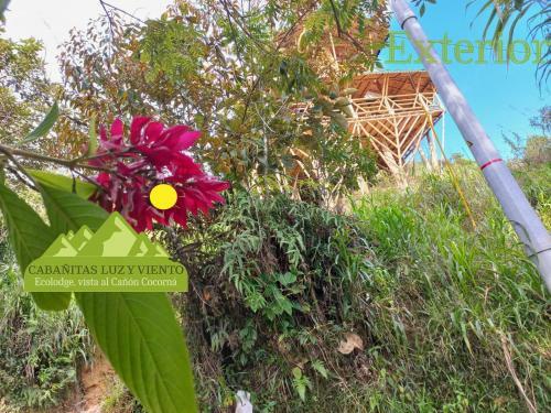 Bed & Breakfast Caba�a Luzmi Cocorn�