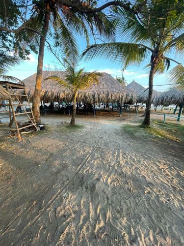 Hotel Palma Azul Beach