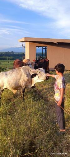 Agroturismo Finca Marat�n Alto