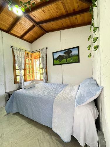 Hostal Xplora Hostel