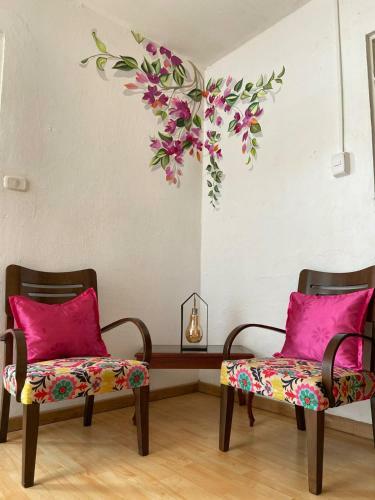 Hostal Arbol Cafe Caicedonia
