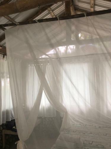 Bed & Breakfast Turqui Paradise