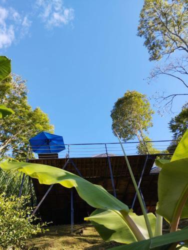 Glamping Eco Azulejo