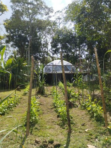 Glamping Eco Azulejo