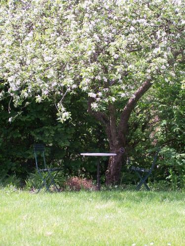 M�llehusets Bed & Breakfast