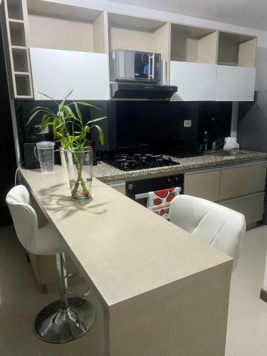 Luxury Apartment