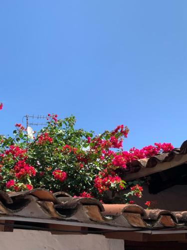 Casa Hotel Dulce Candelaria
